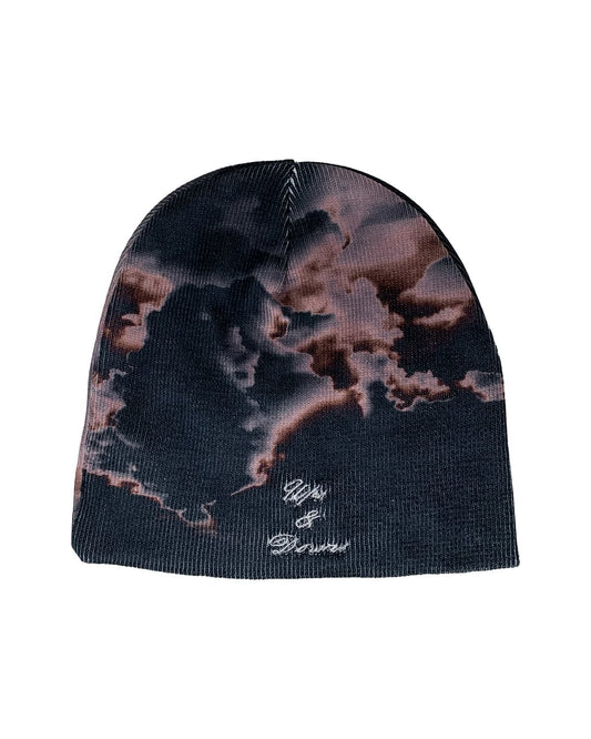 'UPS & DOWNS' BEANIE